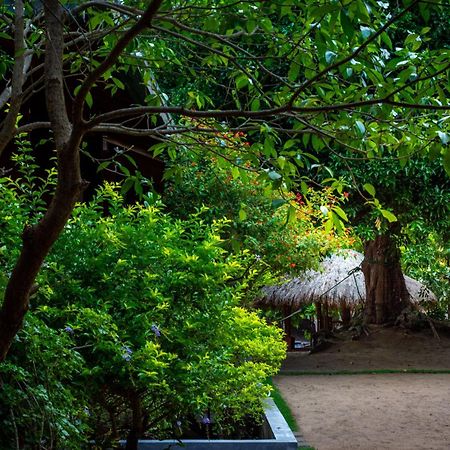 Arugambay Coco Bay Hotel Arugam Bay Luaran gambar