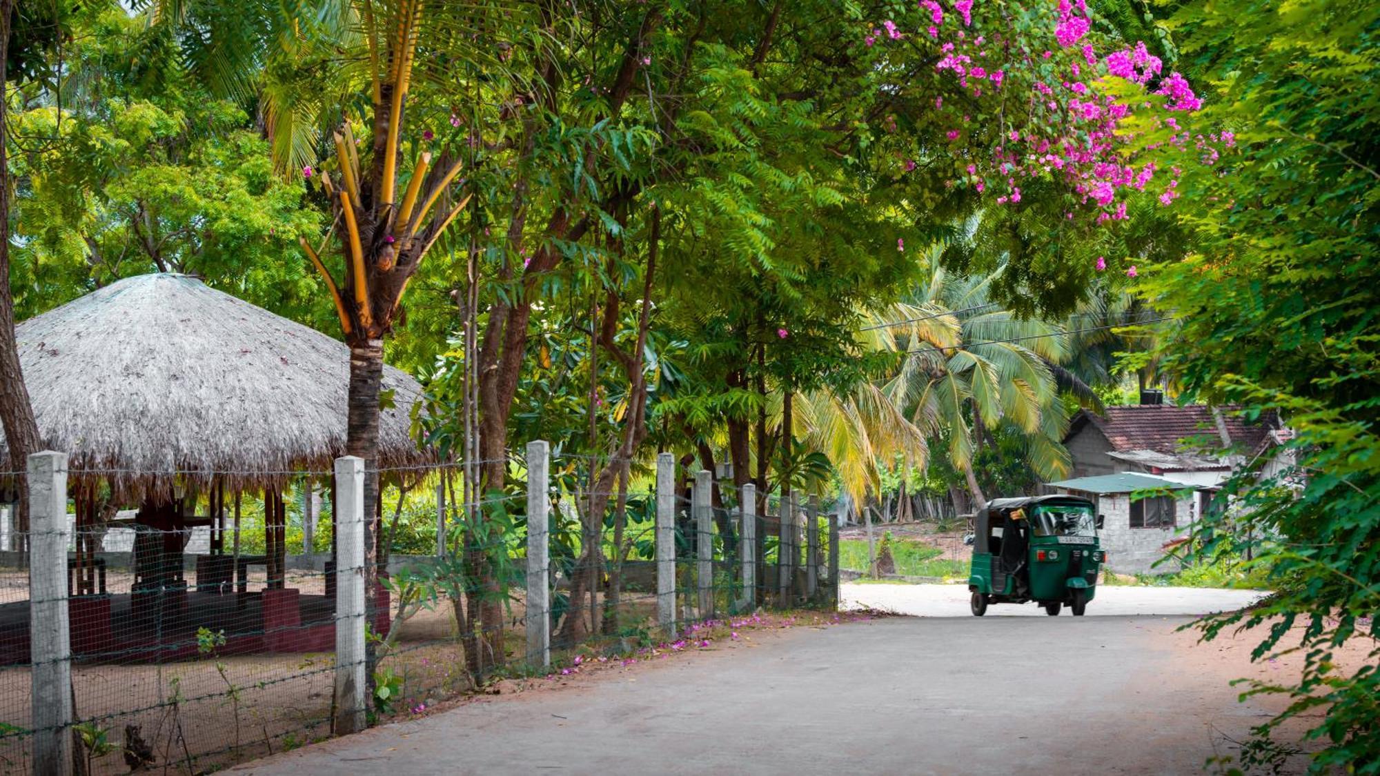 Arugambay Coco Bay Hotel Arugam Bay Luaran gambar
