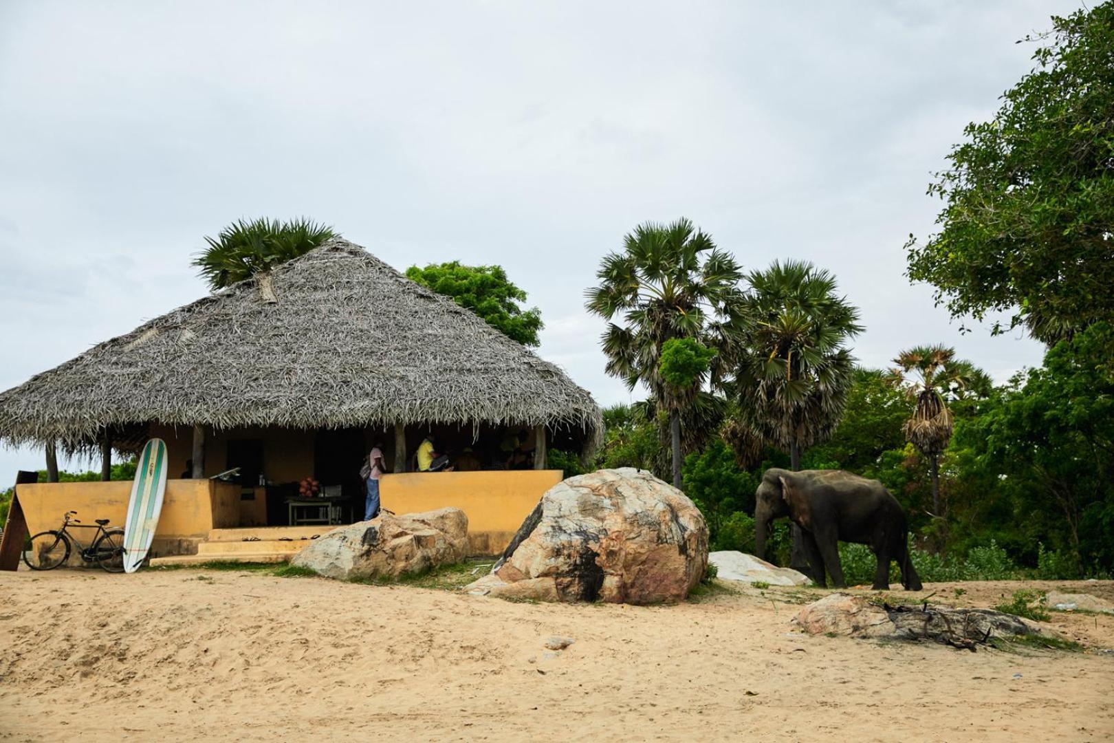 Arugambay Coco Bay Hotel Arugam Bay Luaran gambar